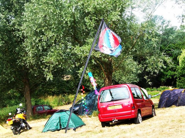 Stealie Flag 1.jpg